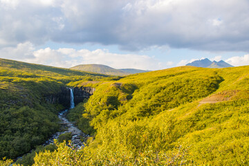 Svartifoss waterfall in Skaftafell Vatnajokull National Park, Iceland with green dramatic landscape