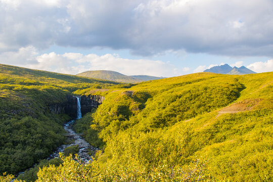 Svartifoss Waterfall In Skaftafell Vatnajokull National Park, Iceland With Green Dramatic Landscape