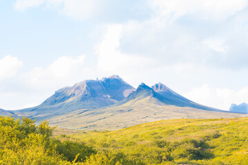 Fototapeta premium Svartifoss waterfall in Skaftafell Vatnajokull National Park, Iceland with green dramatic landscape