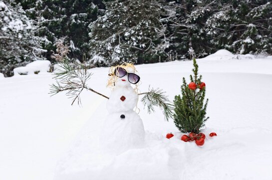 Female snowman wearing sunglasses next to a Christmas tree in a garden, Lithuania