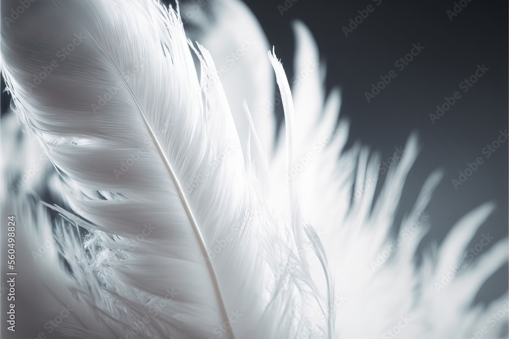 Poster a close up of a white feather on a black background with a blurry background of the feathers and the