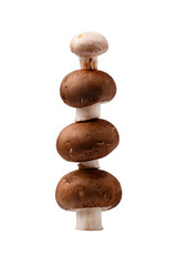 A tower of fresh brown mushrooms isolated on transparent background
