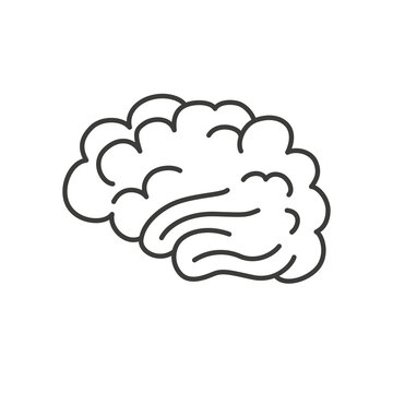 recommend clip art: Human brain symbol. Illustration on transparent background