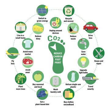 Carbon footprint circle infographic. Tips for reducing your personal carbon footprint. How to decrease CO2e infographic. Save the planet, environment improvement concept. Flat vector illustration.
