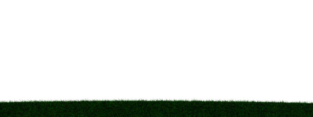 Grass transparent illustration background field