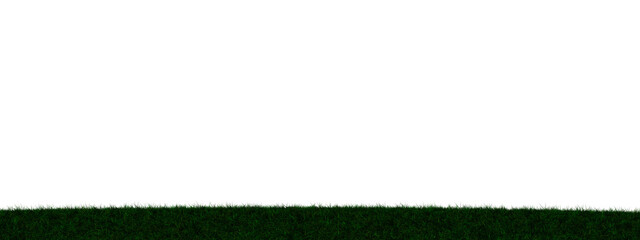 Grass transparent illustration background field