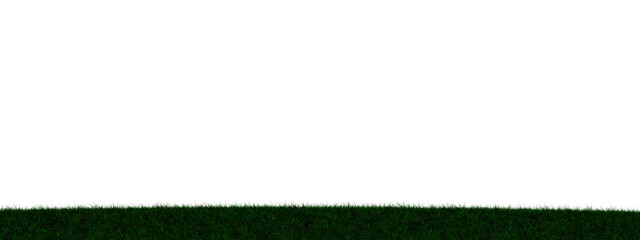 Grass transparent illustration background field