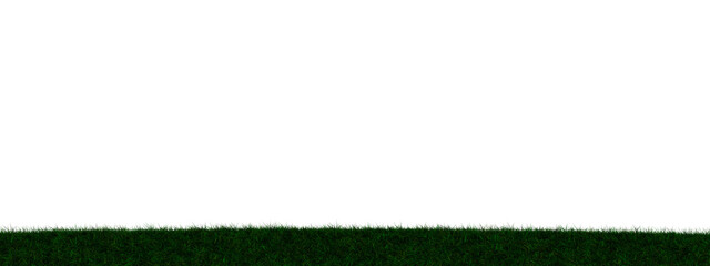 Grass transparent illustration background field in 3d