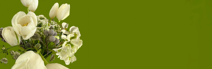 bouquet of white flowers on a green background, white tulips, space for text