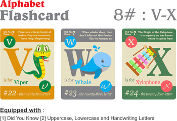 Flashcard alphabet V W X in 3 different color with information vector