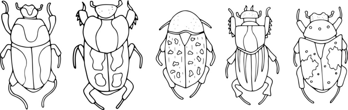Beetles doodle icons set. Collection of sketches of different beetles. Hand drawn vector illustration. traced image.
