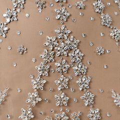 Elegant bride in a wedding dress