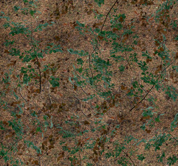Texture photo of coniferous forests with leaves for camouflage top view. Quality 150dpi.
