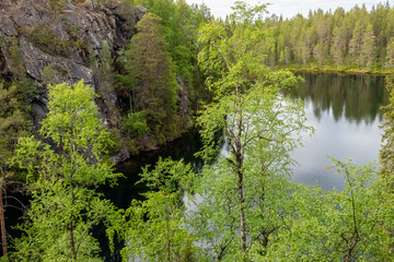 a pond in a nature reserve