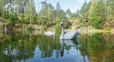 beautiful lake with a canyon on which swans swim with a blue sky