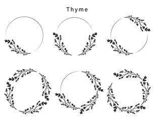 6 Thyme wreaths. Floral ink style.