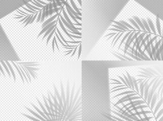 Fototapeta premium Palm shadow background overlay on transparent, vector set. Summer tropical plant leaf shade and window light realistic mockup. Foliage background with shadow overlay effect of beach palm tree branches