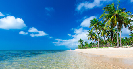 Untouched tropical beach in Sri Lanka