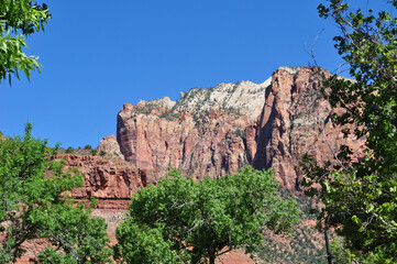 Red Rock Mountain just past green trees