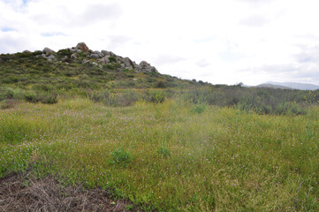 Green hills with breaking clouds