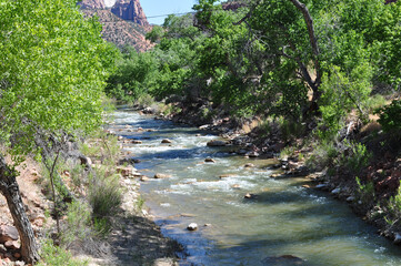 Stream surrounded by trees with a mountain in the back
