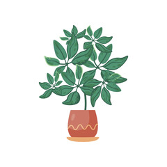 Living room interior houseplant flat vector illustration. Cartoon doodle of modern plant design for bedroom isolated on white background. Furniture, interior concept