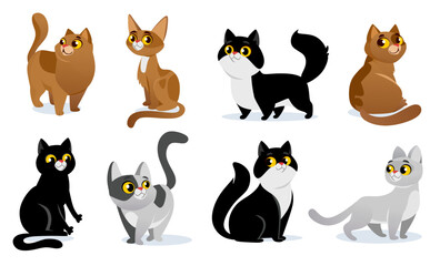Cute kittens set isolated on white background. Vector collection of adorable cat breeds in cartoon style: British, Persian, siamese, sphynx. Amusing kitties in different poses with happy faces.