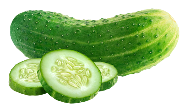 Isolated cut cucumber