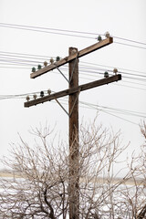 Powerline and grey skies