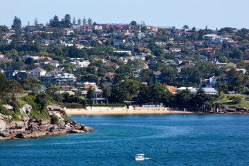 Fototapeta premium Sydney Watson Bay City Camp Cove Beach