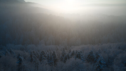 misty morning in the mountains