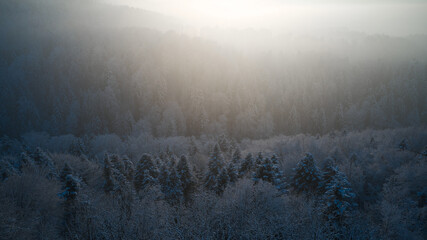 misty morning in the mountains