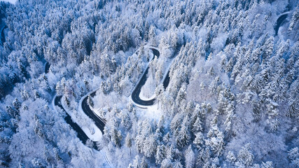 snow covered mountains forest