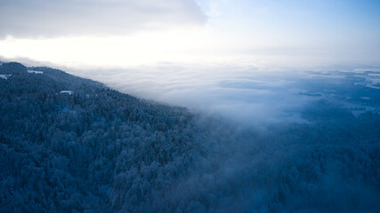 snow covered mountains forest