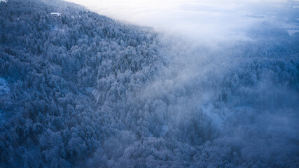 snow covered mountains forest