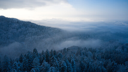 misty morning in the mountains