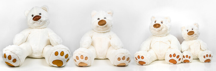 Family of soft toys of polar bears on a white background