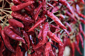 dried red chilli pepper hanging on mallorca street