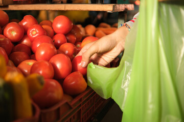 man's hands packing red tomatoes in plastic bag at farmer's fruit and vegetable market