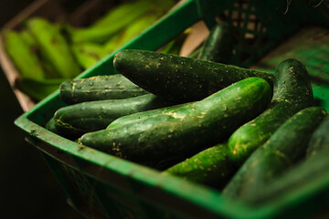 box of green cucumbers for sale to me vegetable market
