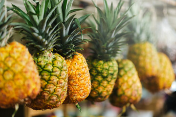 pineapples hung for sale in fruit market selective focus