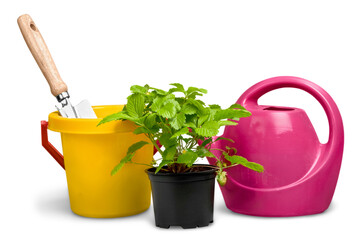 Set of farming gardening tool with plant © BillionPhotos.com