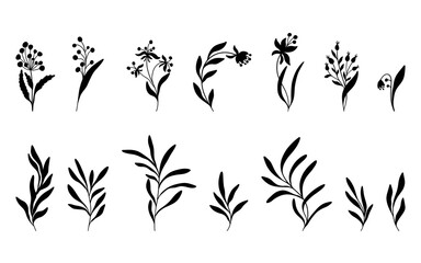 Set of 14 fantasy herbs with leaves and berries