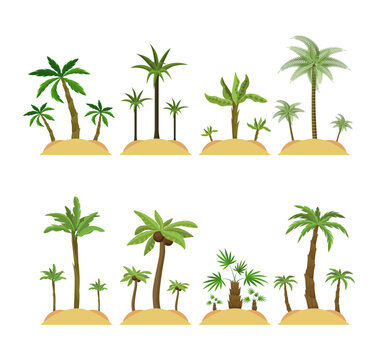 Palm trees on islands vector illustrations set. Collection of cartoon drawings of exotic trees with big leaves and sand isolated on white background. Summer, nature, vacation concept