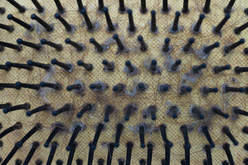 Closeup of a hairbrush with hair and dust.