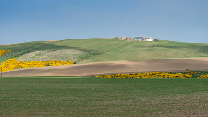 Misty, haze with special light over a Crovie landscape in Aberdeenshire