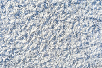 Texture of snow and ice crystals in the form of feathers and flakes. Winter abstract background