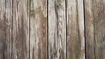 Background, close-up. Old fence boards without paint. On the boards, the structure of the tree and...