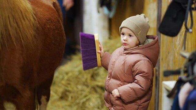 Horse care inside the stable before the ride. Little cute girl and pony.