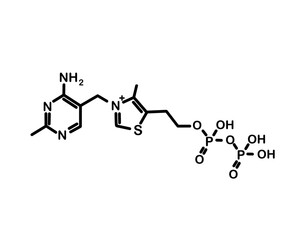 Chemical formula of thiamine pyrophosphate. Vector illustration